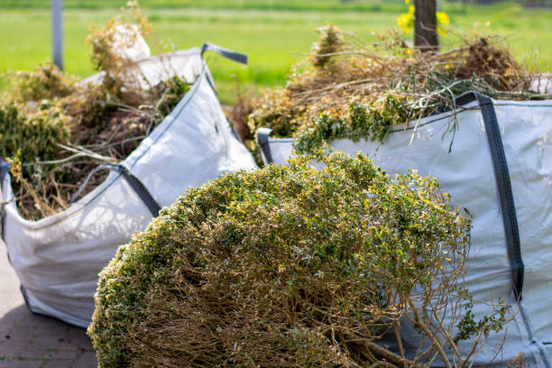 Best Estate Cleanout  in Clarendon, TX